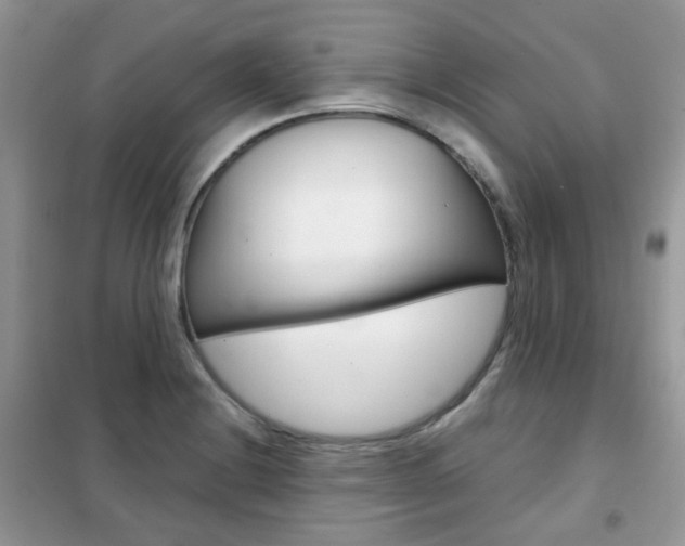 X0000102341228200808010905