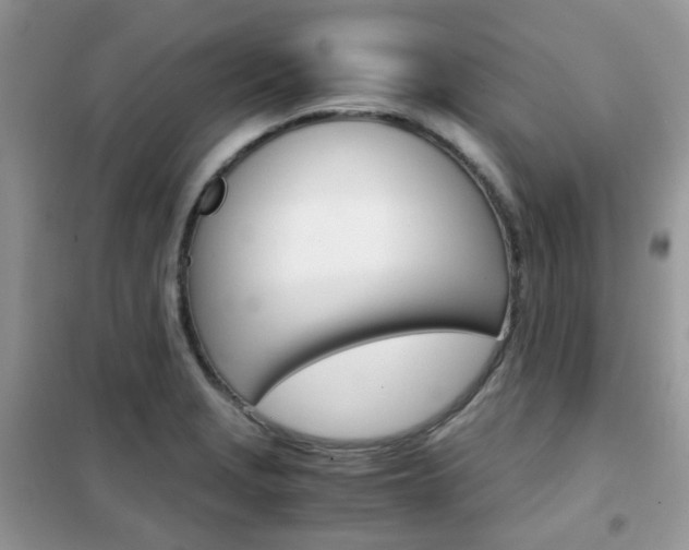 X0000102341229200808010905