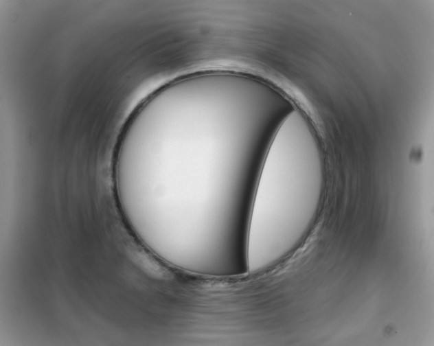 X0000102341230200808010905