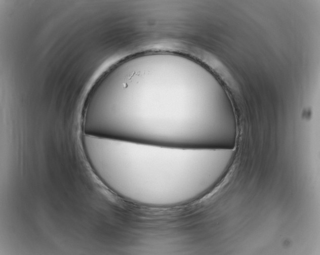 X0000102341232200808010905
