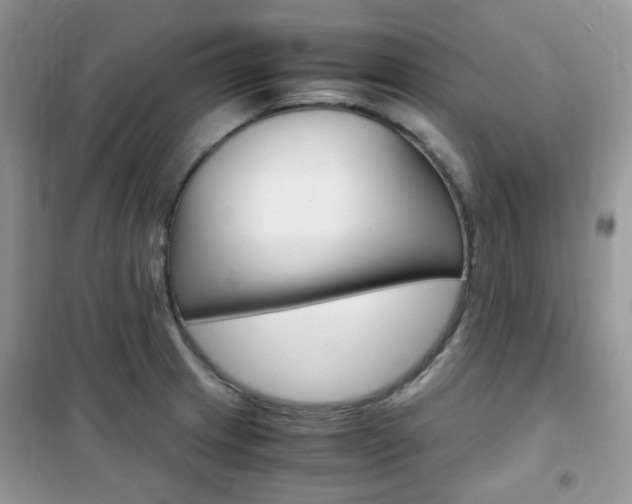 X0000102341233200808010905
