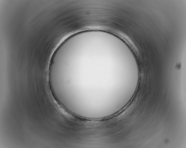 X0000102341236200808010905