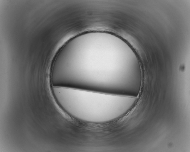 X0000102341237200808010905