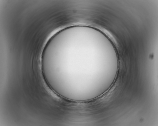 X0000102341238200808010905
