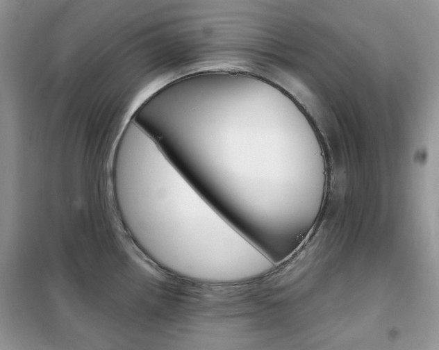 X0000102341242200808010905