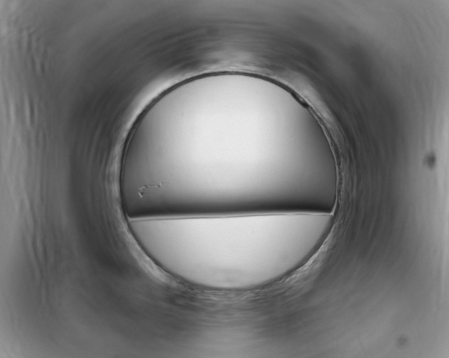 X0000102341246200808010905