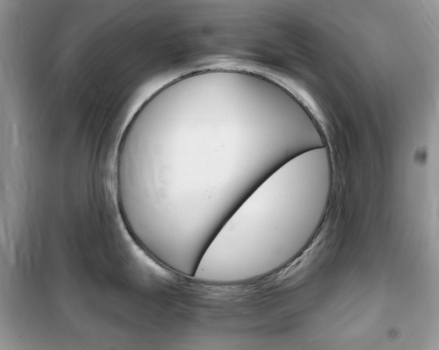 X0000102341247200808010905