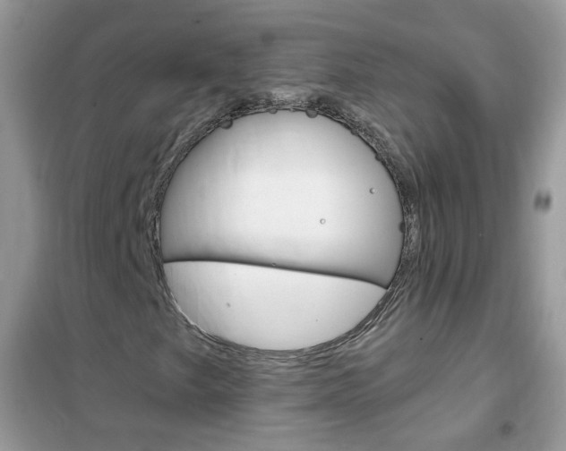 X0000102341249200808010904