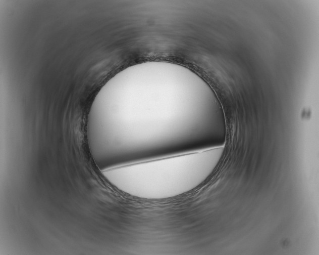 X0000102341250200808010904