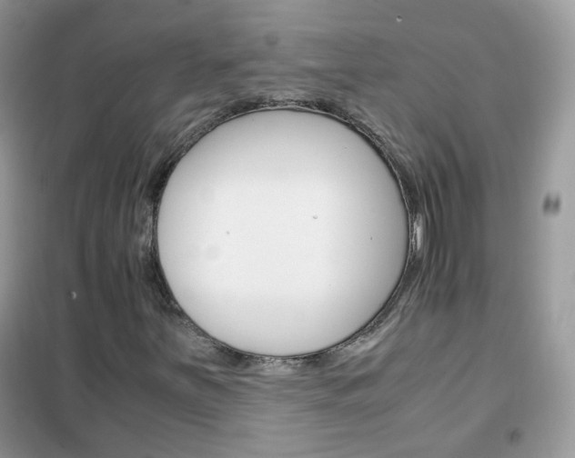 X0000102341251200808010904