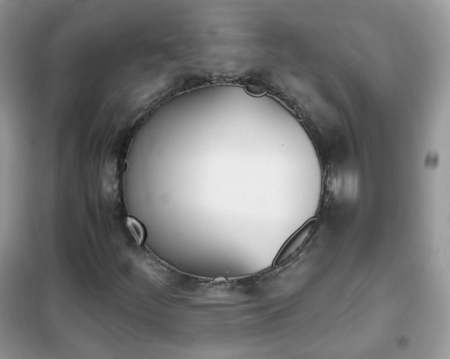 X0000102341252200808010904
