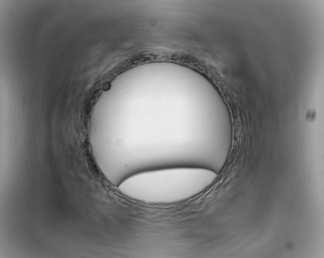 X0000102341253200808010904