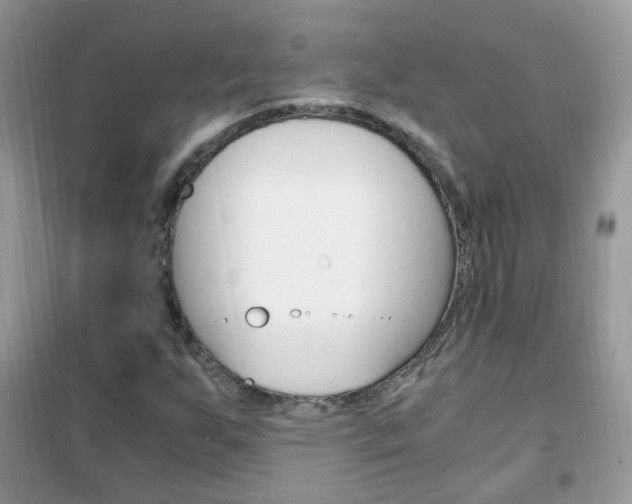 X0000102341255200808010904
