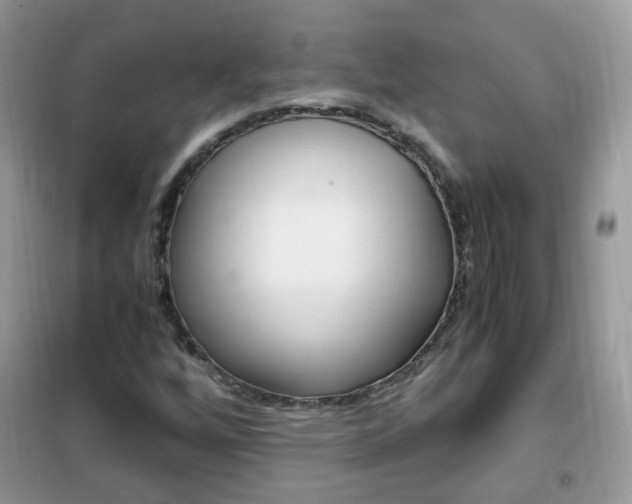 X0000102341256200808010904