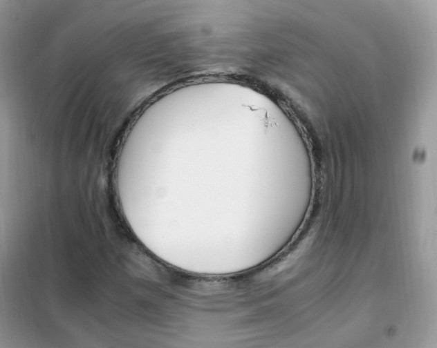 X0000102341257200808010904