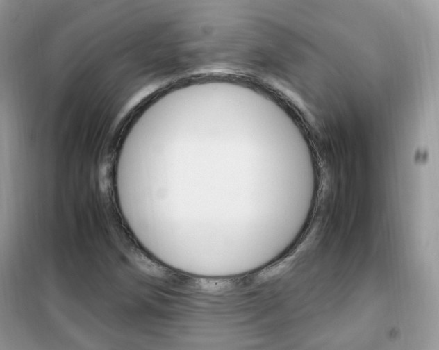 X0000102341258200808010904