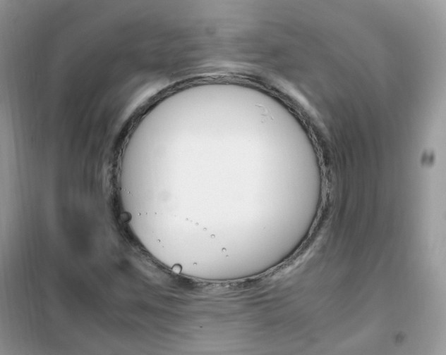 X0000102341259200808010904