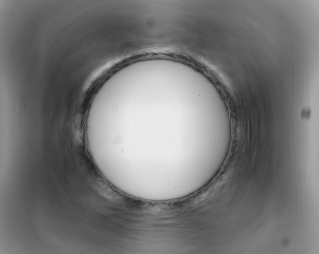 X0000102341262200808010904