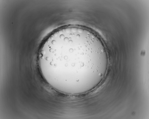 X0000102341263200808010904