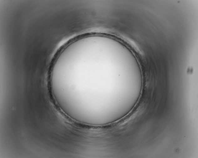 X0000102341264200808010904