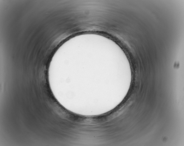 X0000102341265200808010904