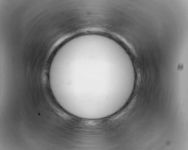 X0000102341266200808010904