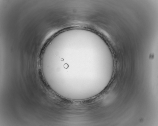X0000102341267200808010904
