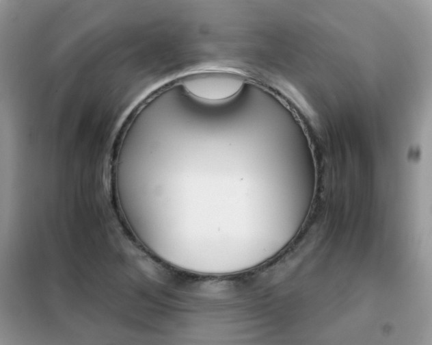 X0000102341268200808010904