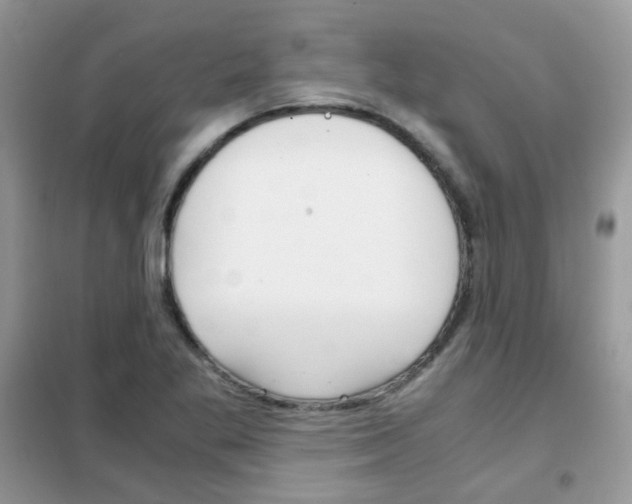 X0000102341269200808010904