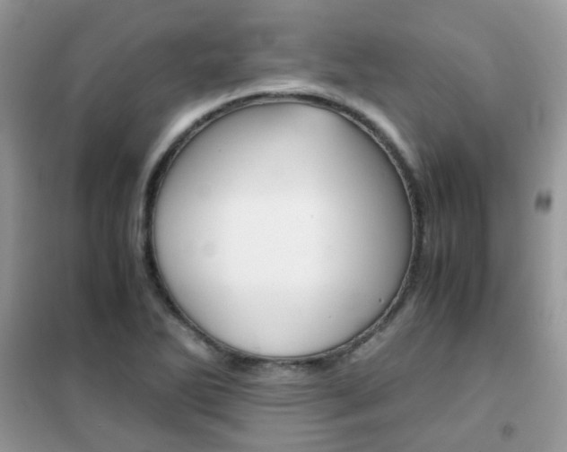 X0000102341270200808010904