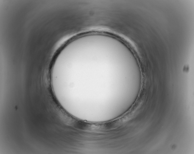 X0000102341271200808010904