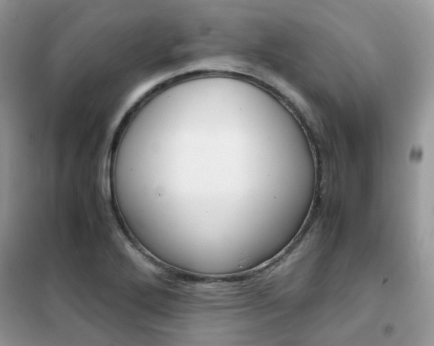 X0000102341272200808010904