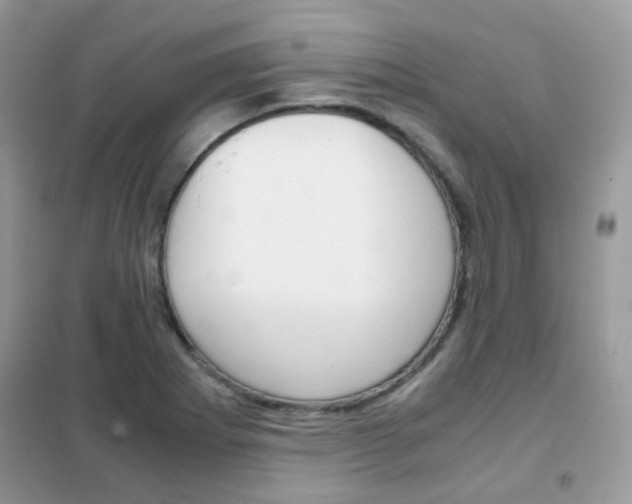 X0000102341273200808010904