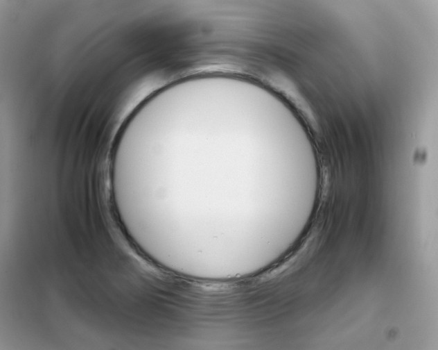 X0000102341274200808010904