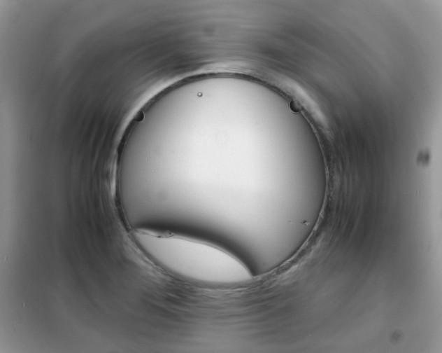 X0000102341276200808010904