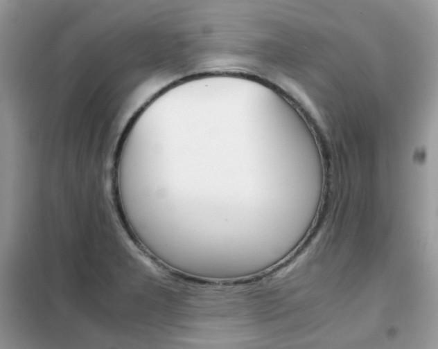 X0000102341277200808010904
