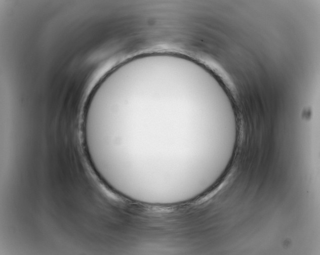 X0000102341278200808010904