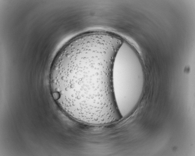 X0000102341279200808010904