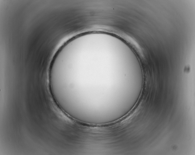 X0000102341280200808010904