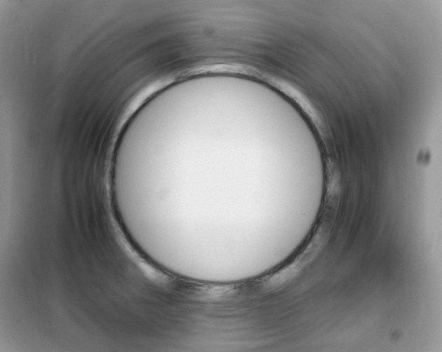 X0000102341282200808010904
