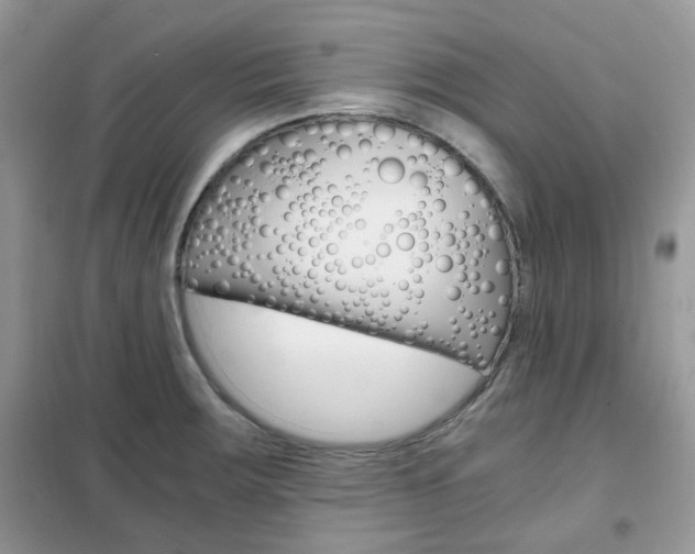 X0000102341283200808010904