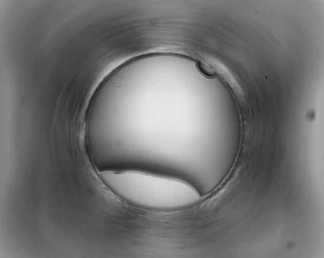 X0000102341284200808010904