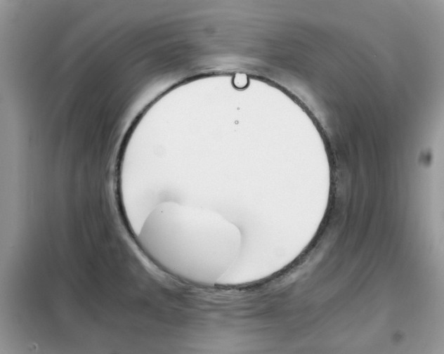 X0000102341285200808010904
