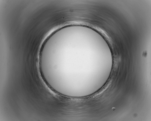 X0000102341286200808010904