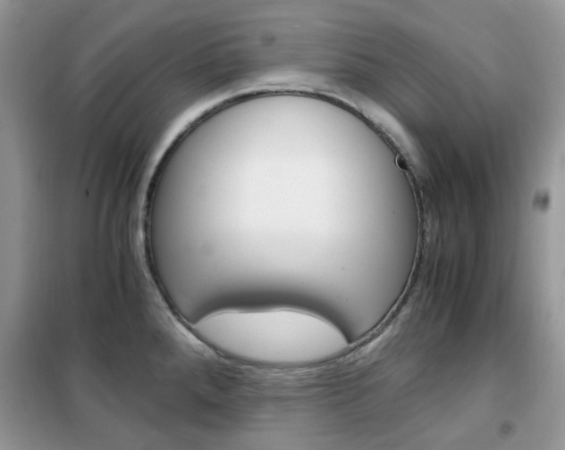 X0000102341288200808010904