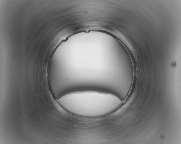 X0000102341289200808010904