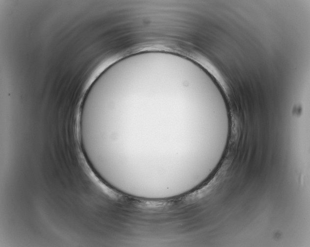 X0000102341290200808010904