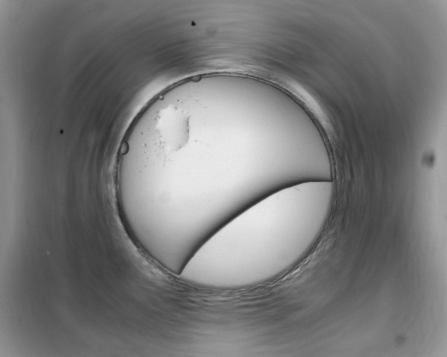 X0000102341291200808010904