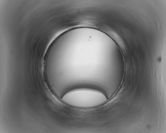 X0000102341292200808010904