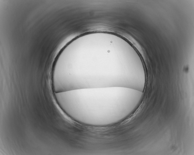 X0000102341293200808010904